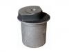 Suspension Bushing:04 02 644