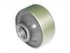 Suspension Bushing Suspension Bushing:51391-SDA-A03