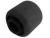 Suspension Bushing:42210-20010