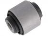 Suspension Bushing:52364-SJF-004