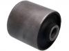 Suspension Bushing Suspension Bushing:55280-3E002