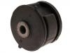 Suspension Bushing:55116-2E000